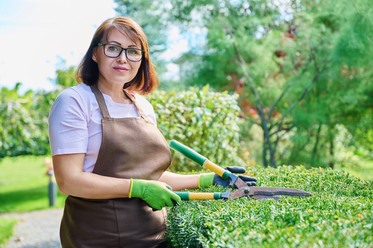 Gartenpflege durchs Jahr: Saisonkalender & Pflegetipps