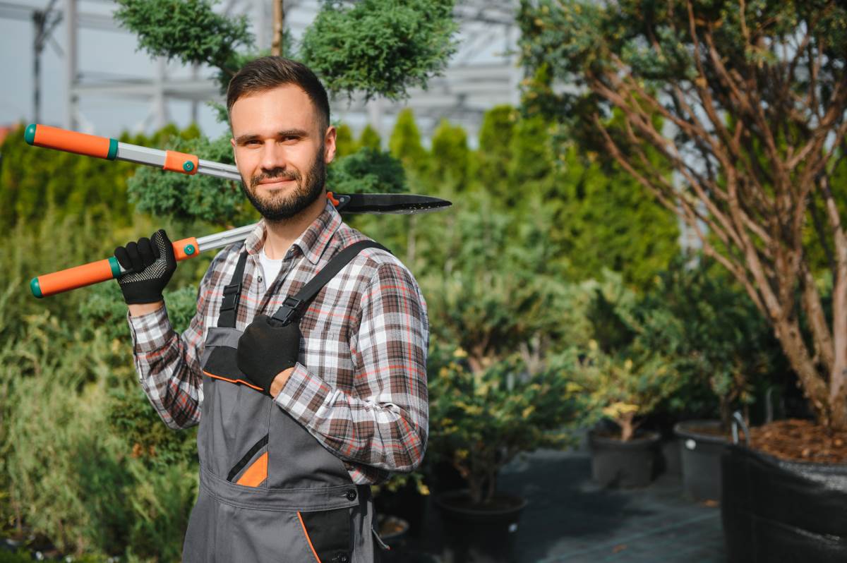 Gärtner beauftragen in Ludwigsburg – Optionen, Preise und Ve