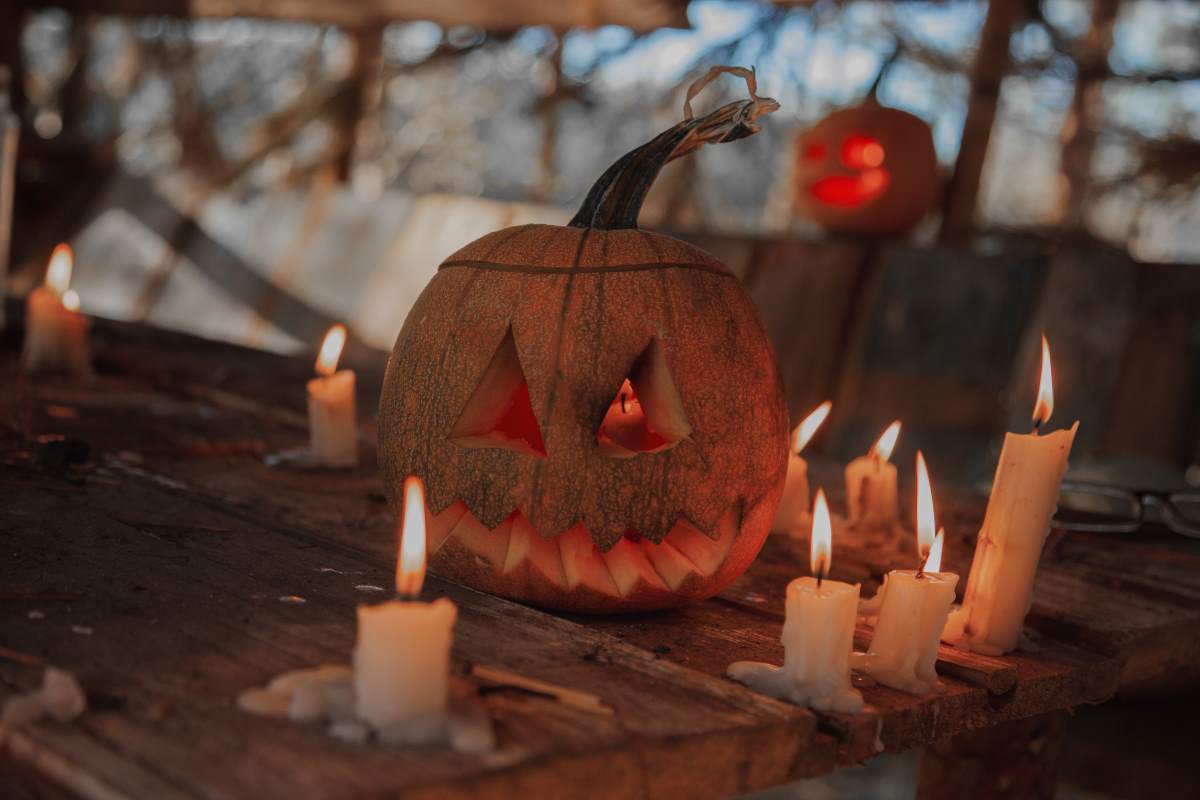 Halloween in Ludwigsburg: Süßes oder Saures – wo hört der Sp