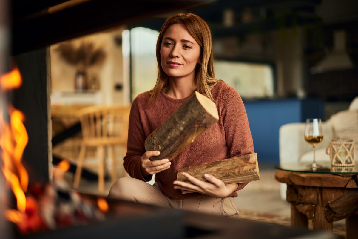 Heizen mit Holz in Ludwigsburg — was Sie wissen sollten