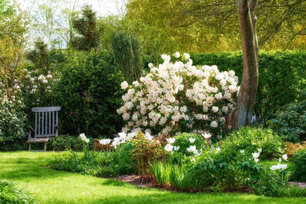 Ruhe im eigenen Garten — der persönliche Rückzugsort in Ludw