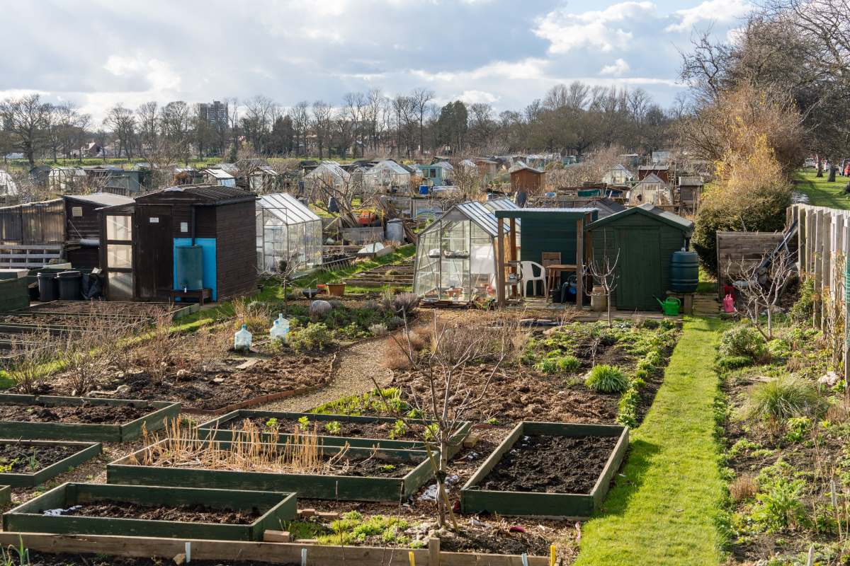 Schrebergarten in Ludwigsburg: Pacht, Regeln und was Sie vor